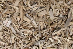 biomass boilers Carlecotes